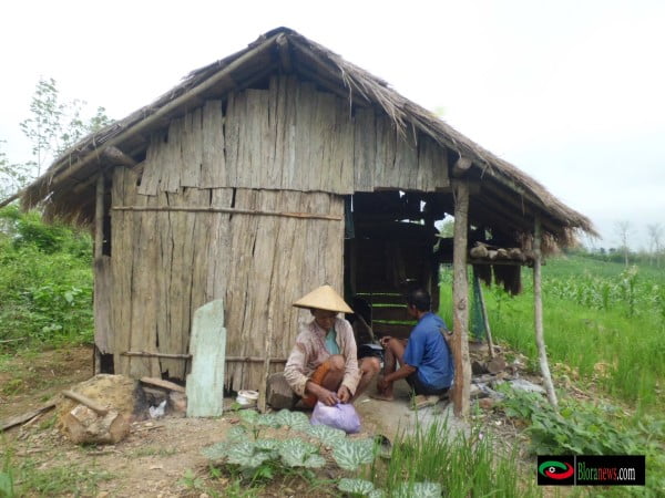 Mbah Ngasui ( 75 ), Kakek lanjut usia ini memilih tinggal di tengah hutan daripada hidup di daerah berpemukiman di desa Tunjungan. Ditemani istri tercintanya, Mbah Parti ( 60 ) pria ini menggarap lahan di tengah hutan di sisa usianya