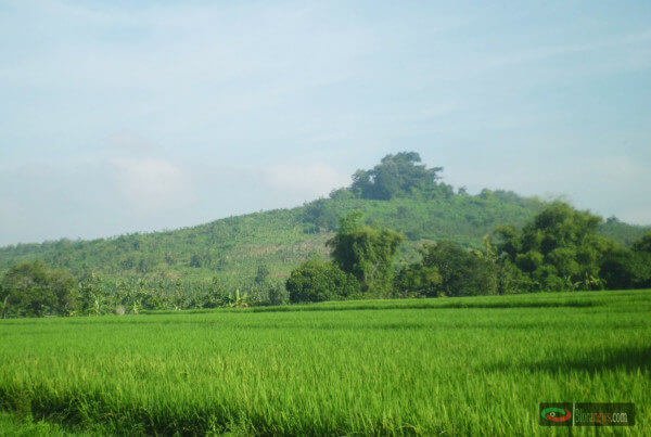 PURWO SUCI KEDINDING KEDUNGTUBAN