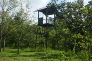 tman kota randublatung blora