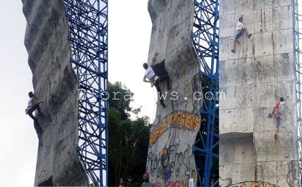 Cartens Wall Climbing Competition