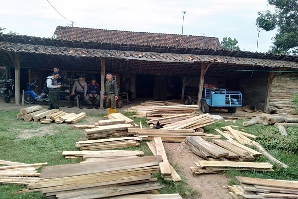 Aparat gabungan kepolisian dan perhutani mengamankan kayu jati ilegal