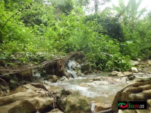 PESONA TUNJUNGAN : MATA AIR BANYU BANGER DI BUKIT GRENENG