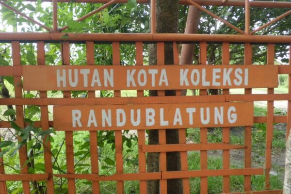 randu blatung blora