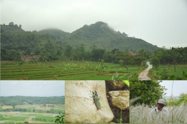 gunung manggir todanan