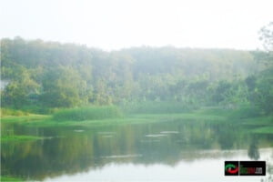 BENDUNGAN JEGONG : BENDUNGAN EKSOTIS DI KECAMATAN JATI
