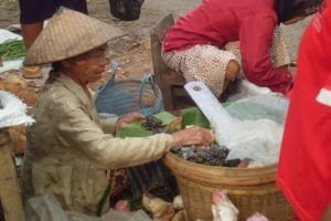 MENEPIS BAYANG-BAYANG RESESI