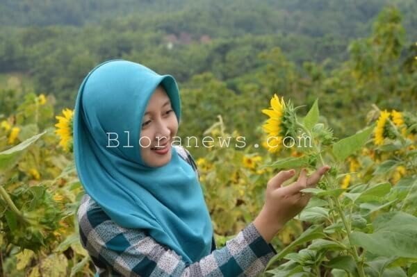 KEBUN BUNGA KESETIAAN DI BLORA SEDOT WISATAWAN