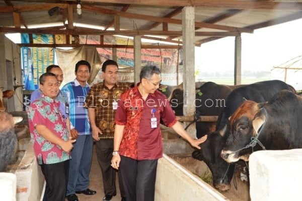 MIX FARMING, BUMDES DESA KEMIRI BERJAYA