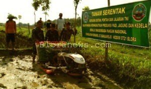 PETANI DI BANJAREJO IKUTI TANAM PADI CIHERANG SERENTAK