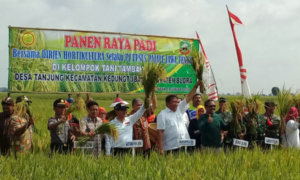 DIRJEN HORTIKULTURA KEMENTAN RI : JANGAN SAMPAI PETANI KITA SUSAH