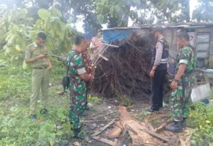 POHON TUMBANG MENIMPA WARUNG, TAK ADA KORBAN JIWA