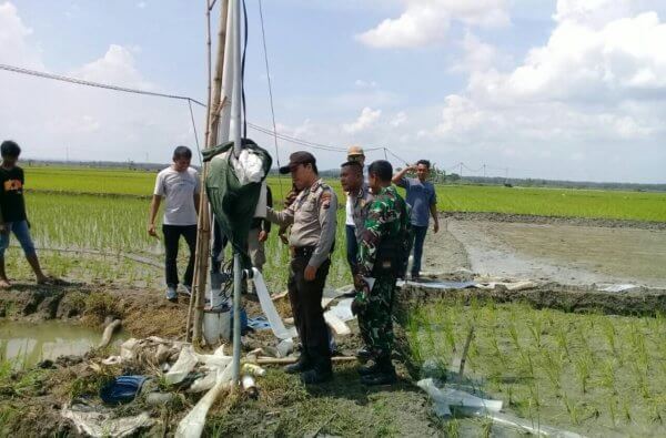 PETANI DI KETUWAN TEWAS TERSENGAT ALIRAN LISTRIK