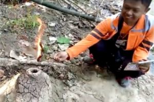 LEBIH DEKAT DENGAN API ABADI DI HUTAN PENGKOLJAGONG