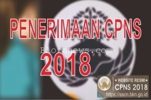 PENDAFTARAN CPNS DIBUKA 19 SEPTEMBER MENDATANG