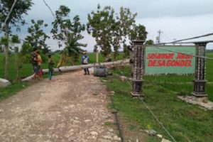 ANGIN KENCANG MENGAMUK, RUMAH DAN POHON BERTUMBANGAN