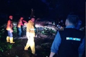 ANGIN KENCANG, POHON DAN TIANG LISTRIK TUMBANG