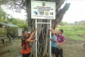 LEBIH DEKAT DENGAN SITUS MEDALEM, BUKTI KEKAYAAN ARKEOLOGI BLORA