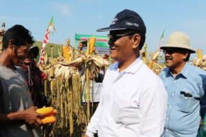 PANEN RAYA JAGUNG, KEMENTAN PERTEMUKAN PETANI DENGAN PETERNAK AYAM