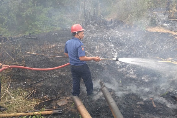 Kebakaran sampah