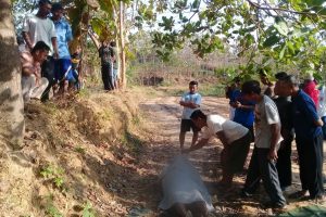 LANSIA DI TUNJUNGAN TEWAS GANTUNG DIRI DI POHON METE