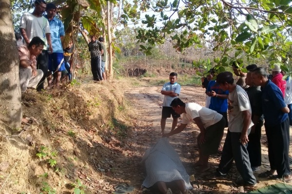 Lokasi gantung diri, kawasan tanah tegalan turut Dusun Kulur Desa Sitirejo Kecamatan Tunjungan Kabupaten Blora