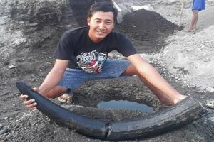 BENDA DIDUGA FOSIL GADING GAJAH PURBA DITEMUKAN DI DAS BENGAWAN SOLO