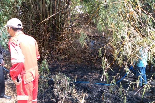Pemadam kebakaran berhasil memadamkan api yang melalap rumpun bambu dekat pemukiman warga di Desa Ngloram Kecamatan Cepu Kabupaten Blora
