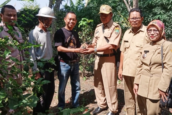 Tim Cethik Geni (kaos hitam) menyerahkan bibit pohon Trembesi kepada Pemdes Kentong dan Cabean