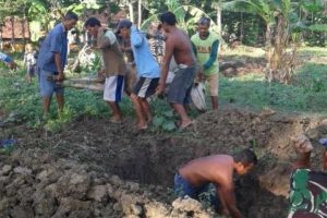 3 SAPI MATI SETELAH BATUK-BATUK, PETUGAS KESULITAN MENDIAGNOSA