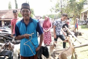 PULUHAN WARGA MISKIN TERIMA BANTUAN KAMBING, KADES: JANGAN DIJUAL!