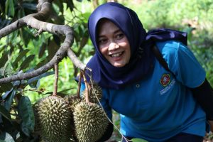 MELIHAT LEBIH DEKAT AGROWISATA KAMPUNG DURIAN NGLAWUNGAN