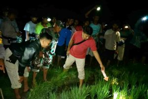 JEBAKAN TIKUS BERALIRAN LISTRIK KEMBALI MAKAN KORBAN