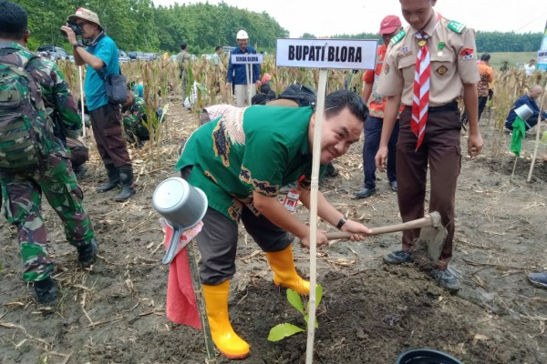 Wakil Bupati Blora Arief Rohman ikut serta dalam aksi tanam pohon di petak 40 BKPH Ngliron KPH Randublatung, Kecamatan Randublatung Kabupaten Blora