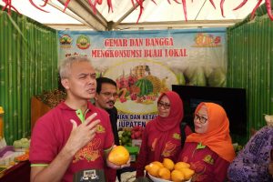 CICIPI BUAH ALKESA BLORA, GANJAR: DULU SAYA SERING MAKAN INI!