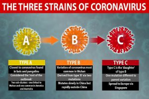 SEMUA TERTUJU KE VIRUS CORONA COVID-19