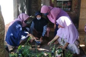 MAHASISWA INI AJAK MASYARAKAT BIKIN APOTIK HIDUP