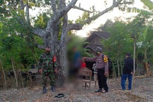 PRIA DI RANDUBLATUNG DITEMUKAN TEWAS GANTUNG DIRI DI POHON NANGKA