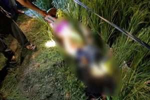 TERSENGAT ALIRAN LISTRIK DI SAWAH, PASUTRI DI RANDUBLATUNG TEWAS