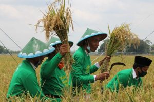 PERTANIAN ORGANIK BAGIAN UPAYA MENEGUHKAN DIRI SEBAGAI KHOLIFAH FIL ARDH