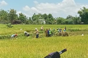 SEMPURNAKAN HARIMU, PERKIRAAN CUACA HARI INI KABUPATEN BLORA