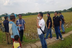ALTERNATIF KELANGKAAN PUPUK,  ROJO KOYO MANUNGGAL KENALKAN PUPUK ORGANIK