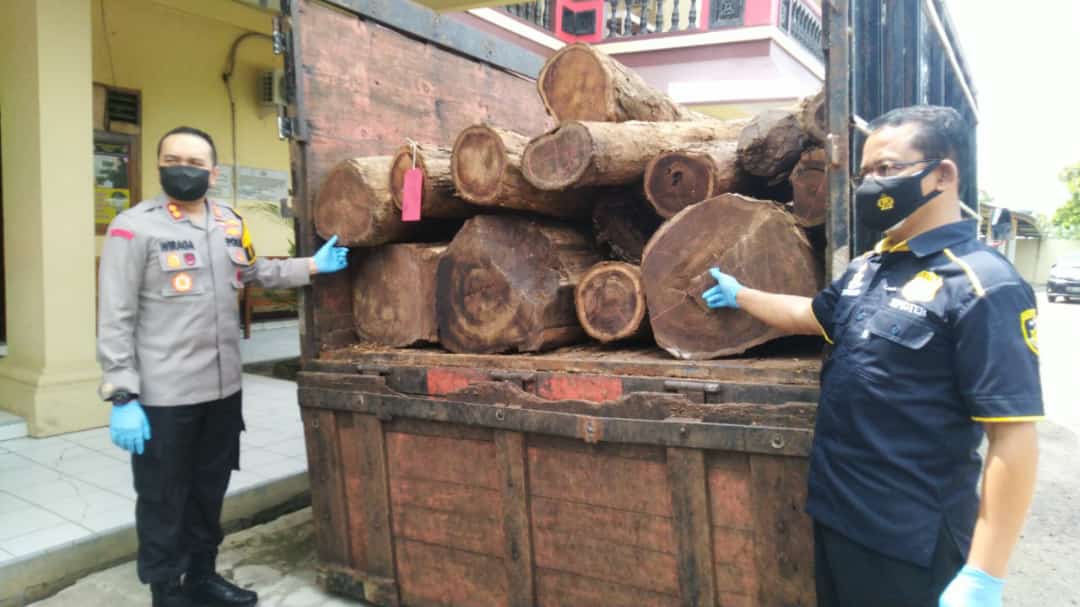Kapolres dan Kasatreskrim menunjukkan barang bukti kayu