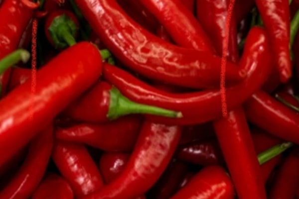 AWAL RAMADHAN, HARGA CABAI MERAH MENGALAMI PENURUNAN
