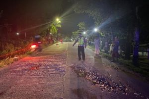 TABRAKAN MAUT DI JALAN CEPU – RANDUBLATUNG, 2 TEWAS 1 LUKA BERAT