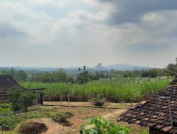 BLORA HANYA MILIKI DUA DESA MANDIRI