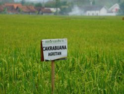 KUNJUNGI BLORA, BALITBANGTAN BERTEKAT TINGKATKAN PRODUKTIVITAS