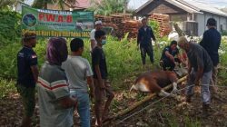SEMBELIH DUA HEWAN KURBAN, PWAB BLORA BAGIKAN DAGING KURBAN KEPADA WARGA