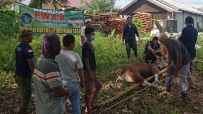 SEMBELIH DUA HEWAN KURBAN, PWAB BLORA BAGIKAN DAGING KURBAN KEPADA WARGA
