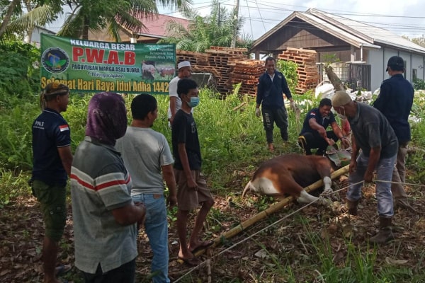 SEMBELIH DUA HEWAN KURBAN, PWAB BLORA BAGIKAN DAGING KURBAN KEPADA WARGA