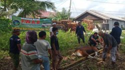 SEMBELIH DUA HEWAN KURBAN, PWAB BLORA BAGIKAN DAGING KEPADA WARGA